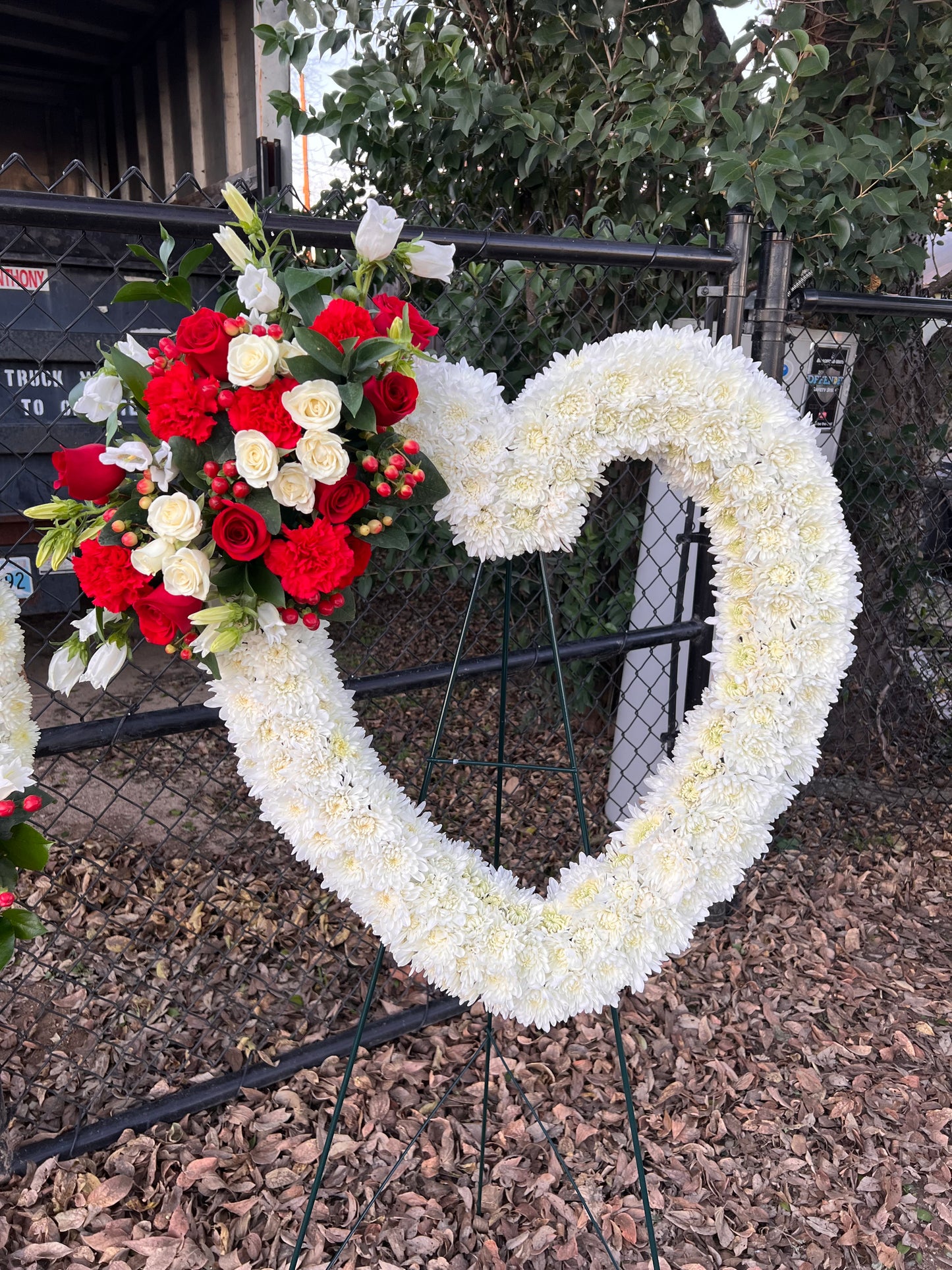 Corazon Mio Sympathy