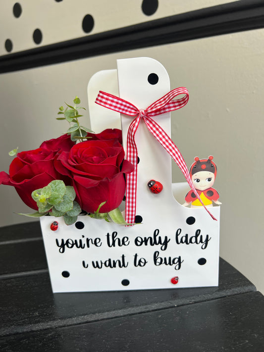Ladybug Drink carrier